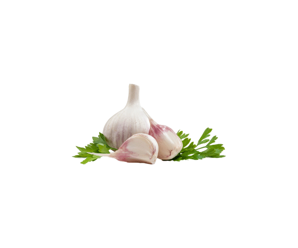 Fresh-Garlic